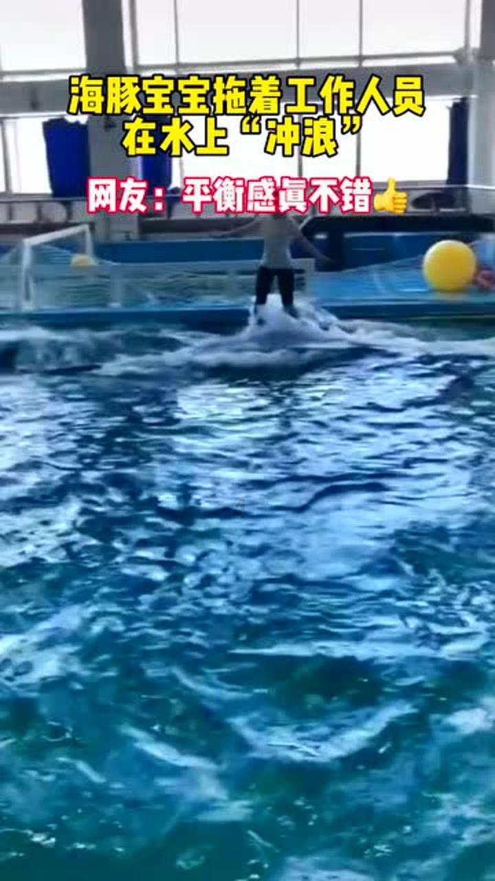 小猫钓鱼正版下载中文版