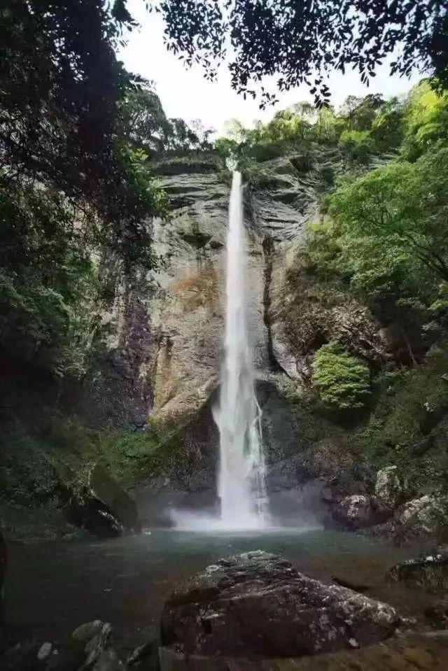 燃烧吧大脑免广告最新版
